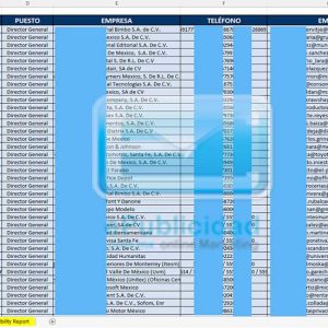 muestra base de datos dueños de empresas