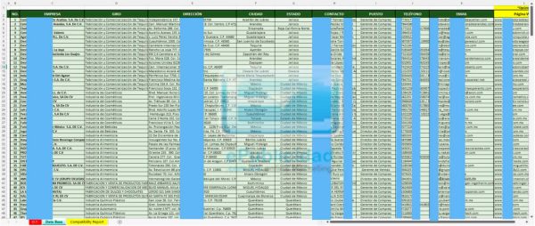 muestra-empresas-grandes Muestra base de datos empresas grandes
