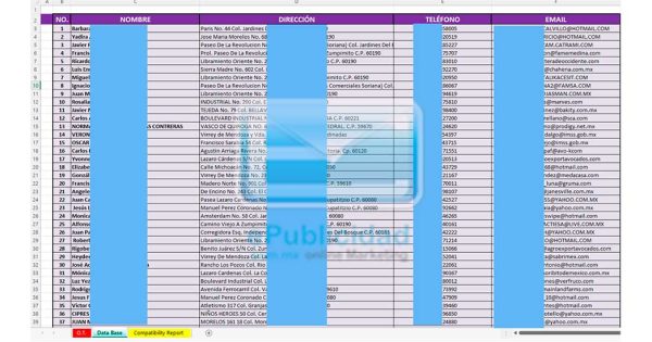 muestra-nse-medio-alto muestra base de datos NSE Medio y alto